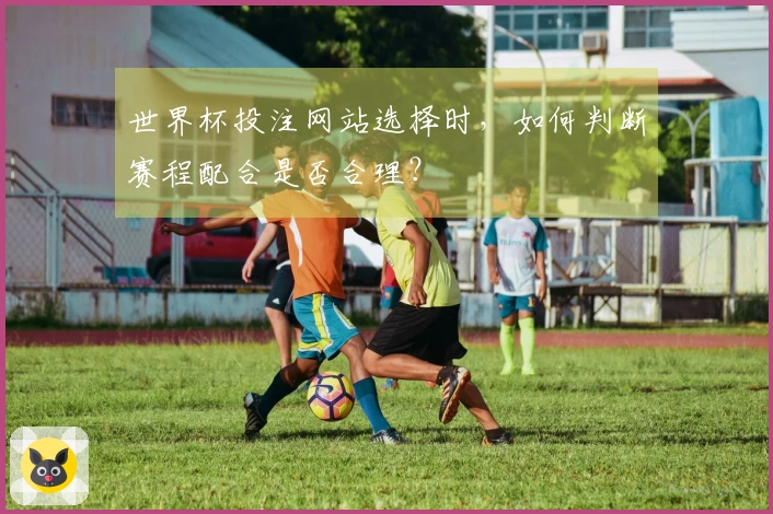 世界杯投注网站选择时，如何判断赛程配合是否合理？