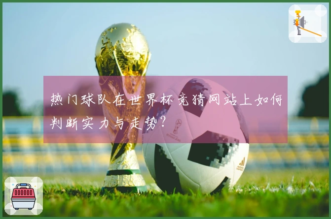 热门球队在世界杯竞猜网站上如何判断实力与走势？