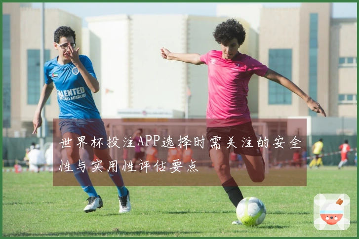 世界杯投注APP选择时需关注的安全性与实用性评估要点