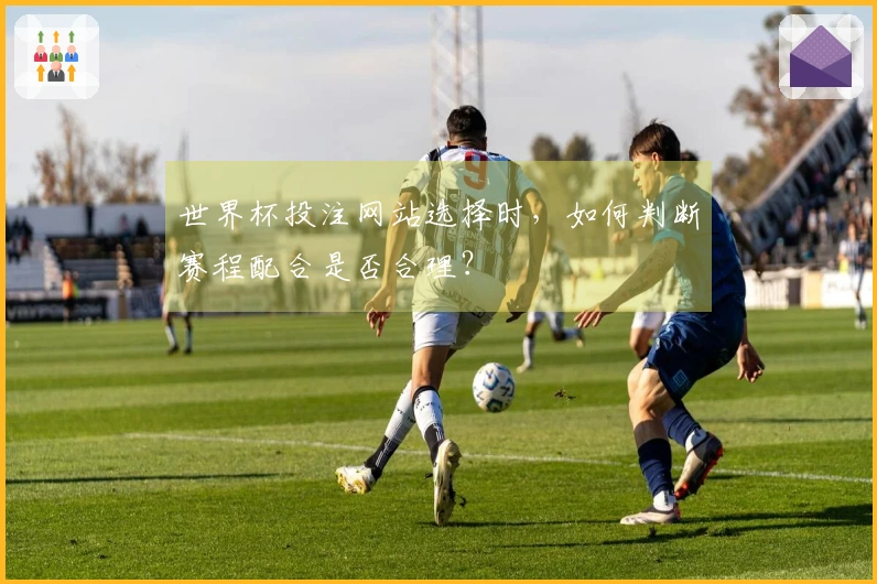 世界杯投注网站选择时，如何判断赛程配合是否合理？