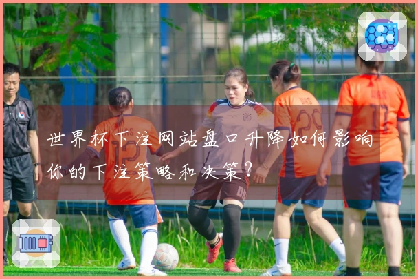 世界杯下注网站盘口升降如何影响你的下注策略和决策？